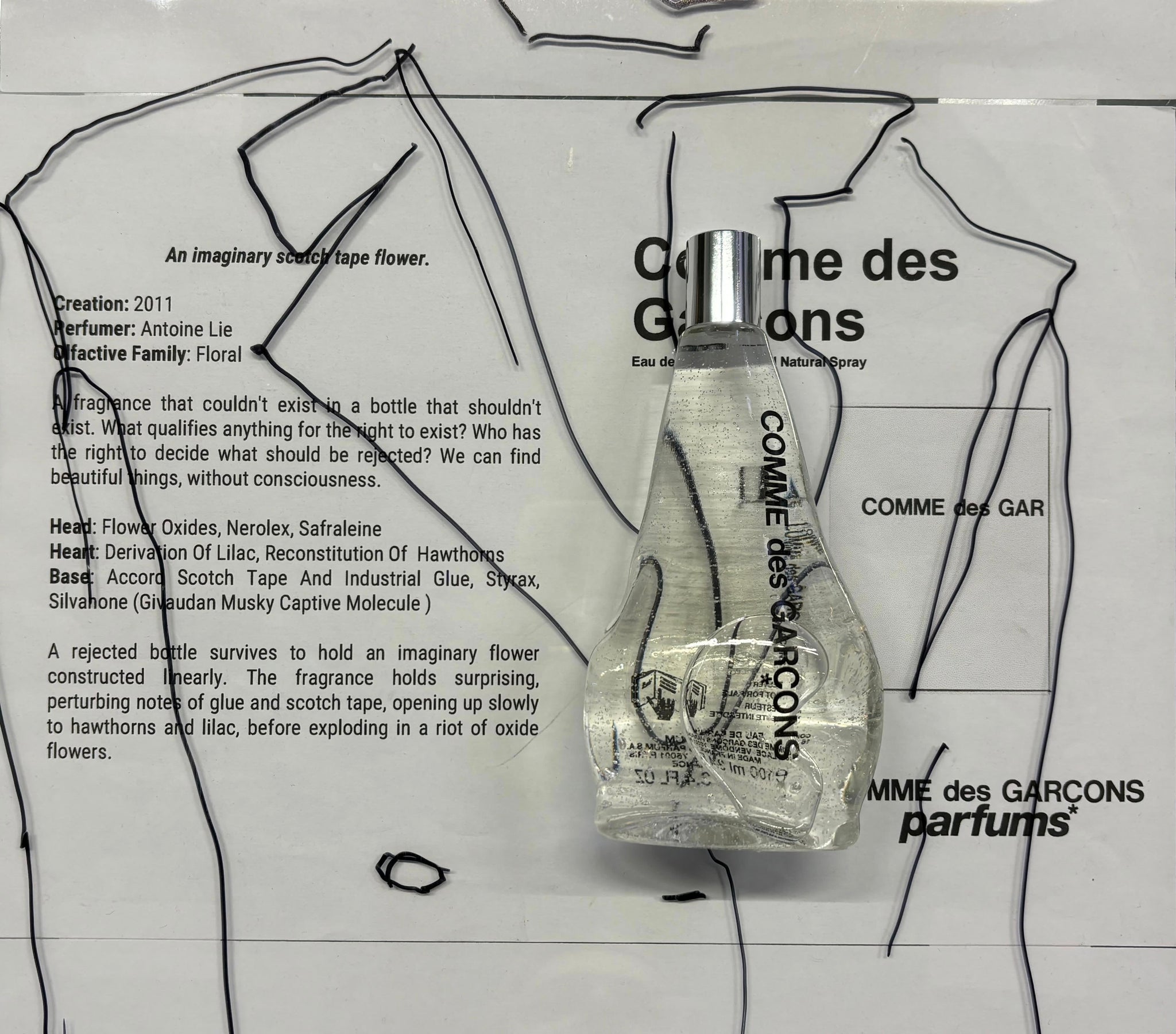 Comme des Garçons parfums