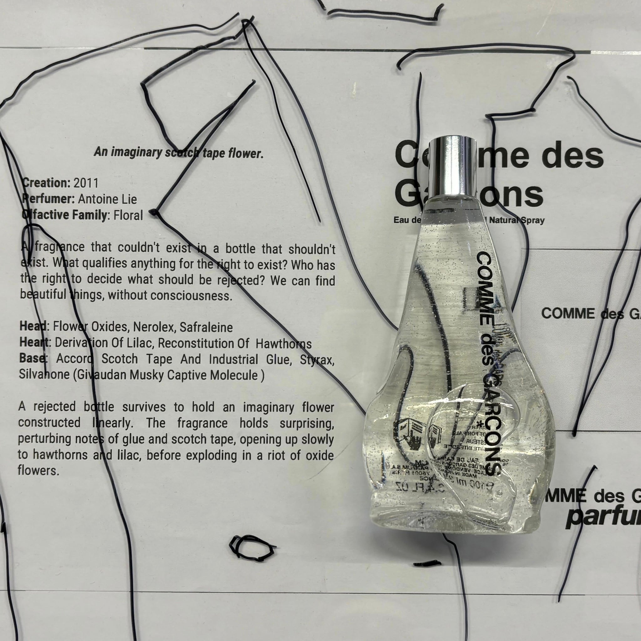 Comme des Garçons parfums