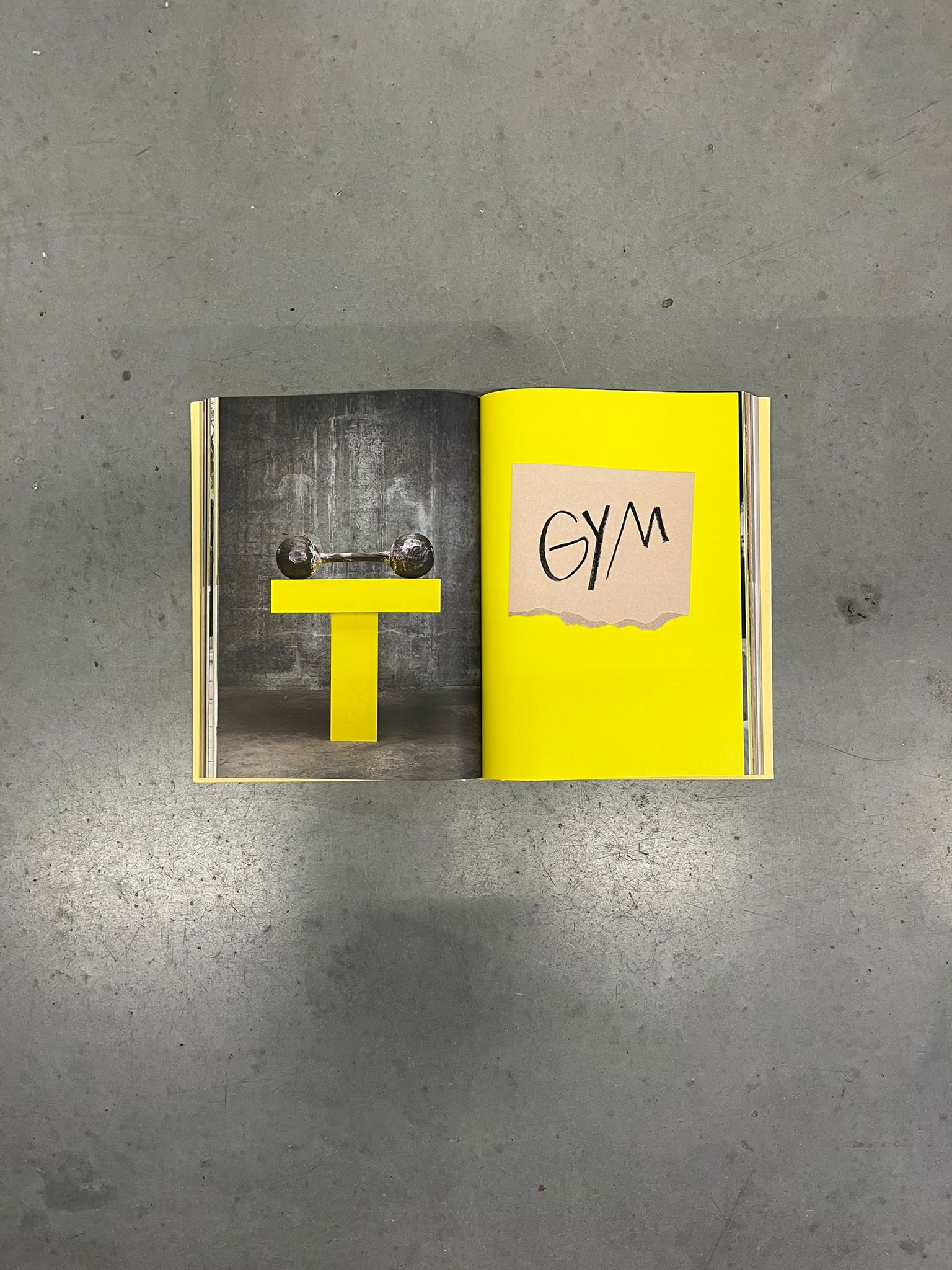 Bad Ideas for Good Living